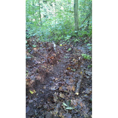 Bild 2 zum Block 2539