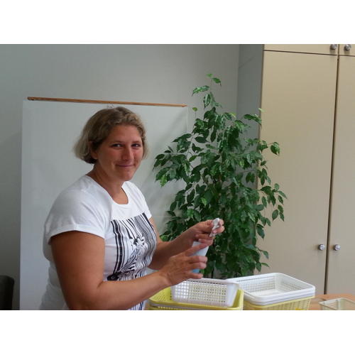 Bild 9 zum Block 2570