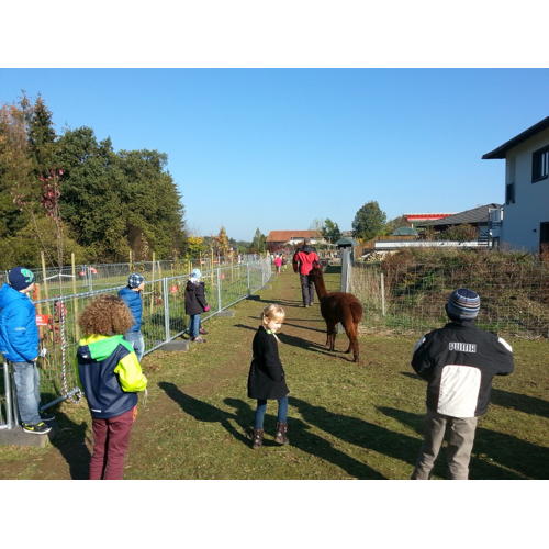 Bild 5 zum Block 2572