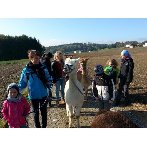 Bild 7 zum Block 2572