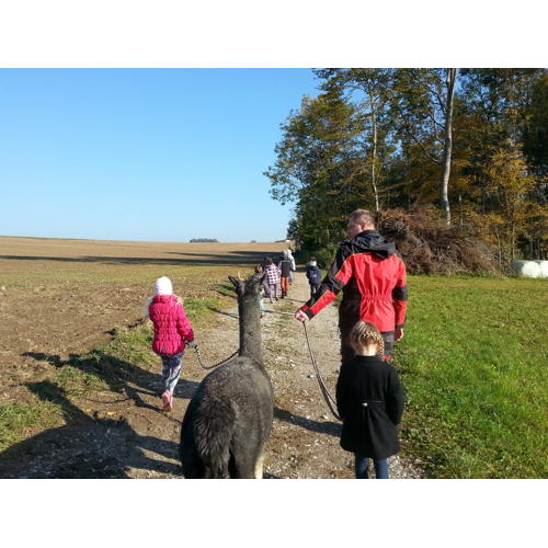 Bild 10 zum Block 2572