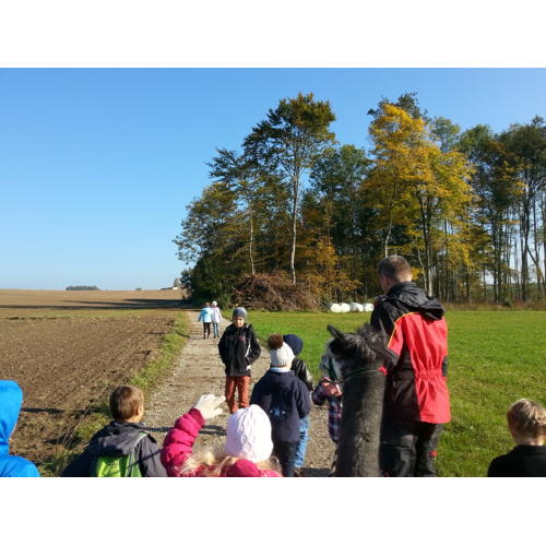 Bild 12 zum Block 2572