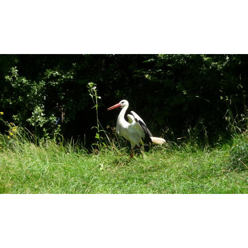 Bild 28 zum Block 2596