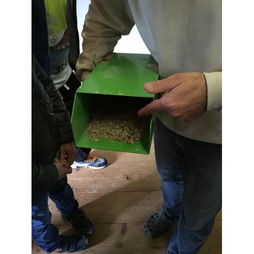 Bild 27 zum Block 2601