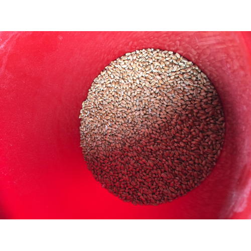 Bild 34 zum Block 2601