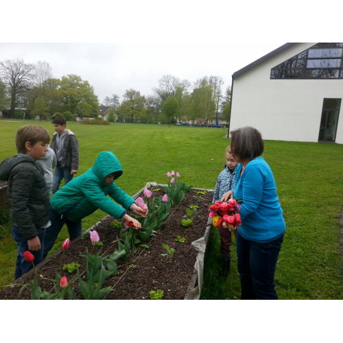 Bild 16 zum Block 2612