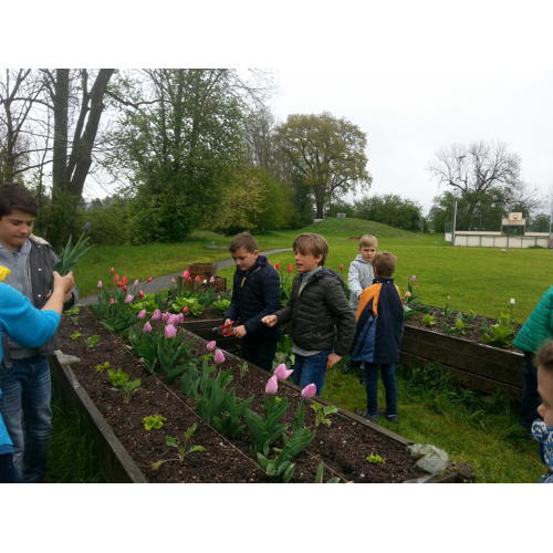 Bild 18 zum Block 2612