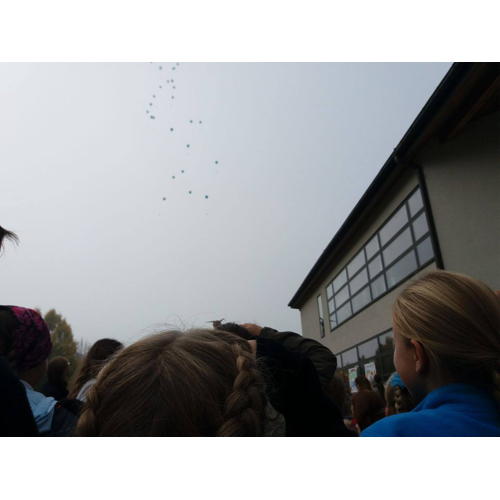 Bild 18 zum Block 2618
