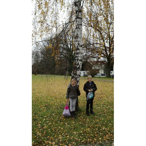 Bild 4 zum Block 2620