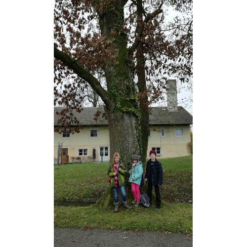 Bild 5 zum Block 2620