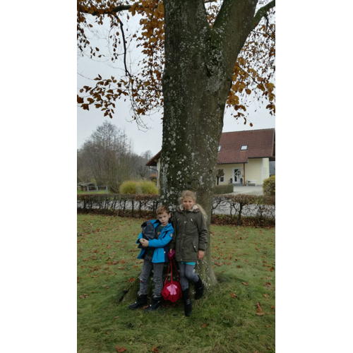 Bild 6 zum Block 2620
