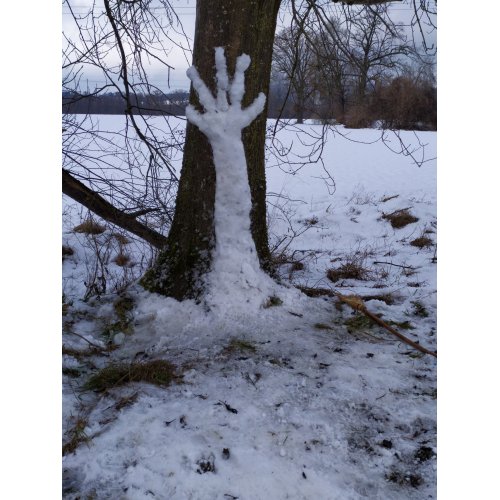 Bild 3 zum Block 3067