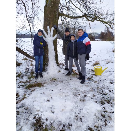 Bild 4 zum Block 3067