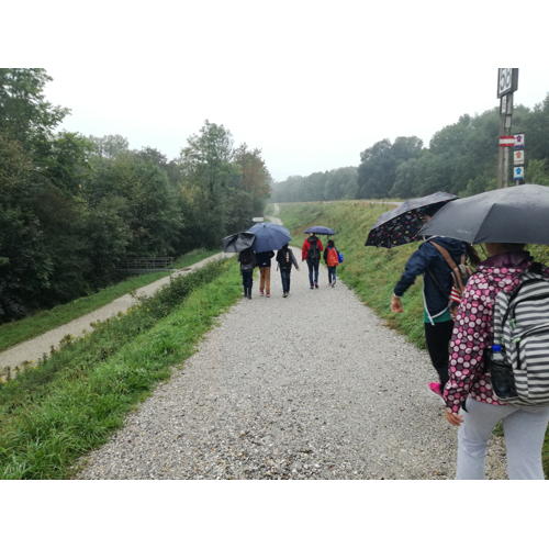 Bild 2 zum Block 2641