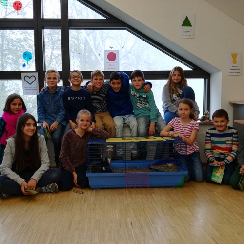 Bild zum Weblog Kleine und gro&szlig;e Erlebnisse aus dem Schulalltag