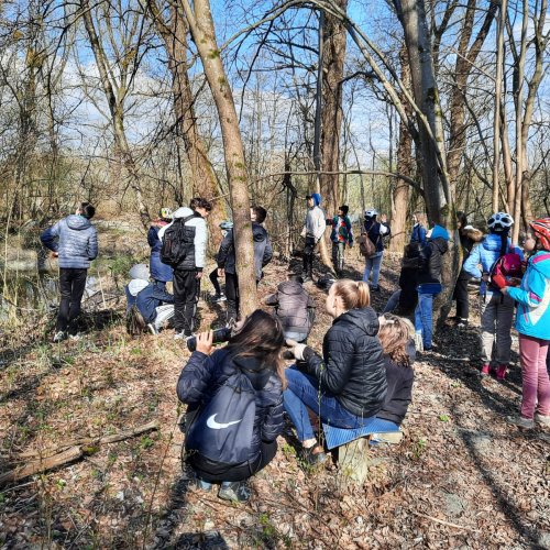 Bild zum Weblog Biologie-Unterricht einmal anders