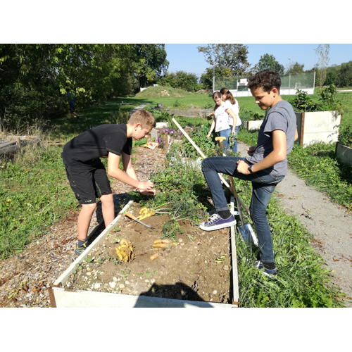Bild 4 zum Block 2643
