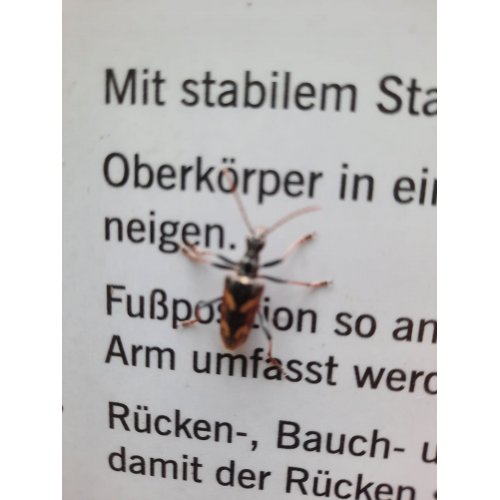 Bild 22 zum Block 3202