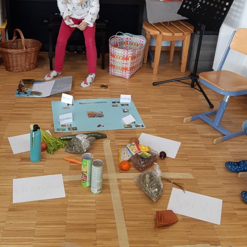 Bild zum Weblog Fr&uuml;hlingsmomente...