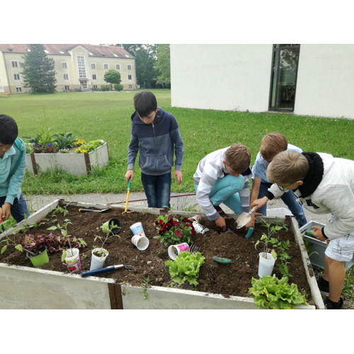 Bild 3 zum Block 2652
