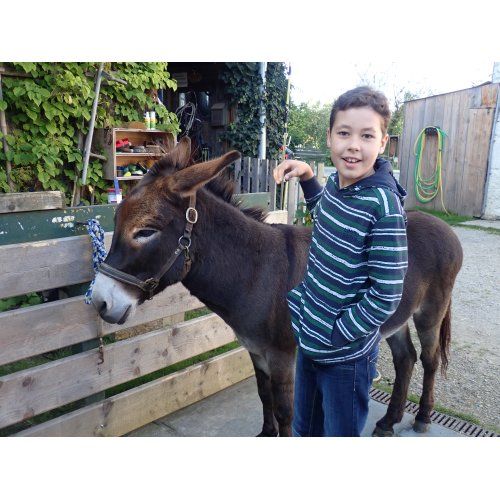 Bild 5 zum Block 3347