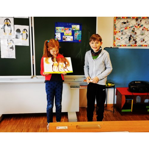 Bild 18 zum Block 3559