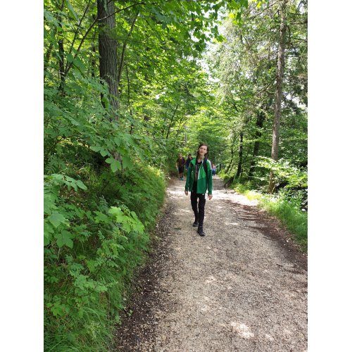 Bild 3 zum Block 3603