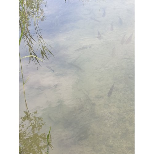 Bild 28 zum Block 3603