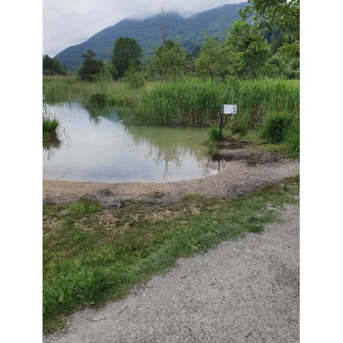 Bild 29 zum Block 3603