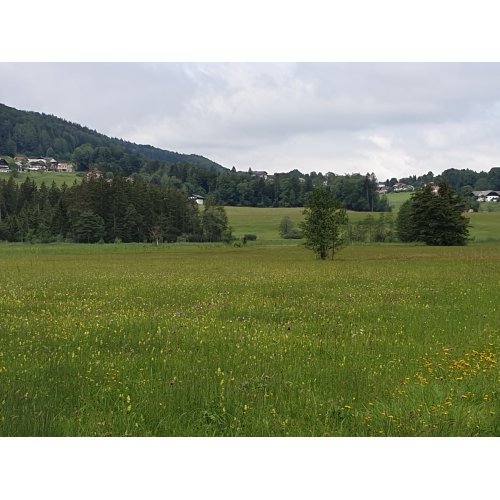 Bild 33 zum Block 3603