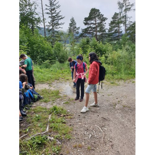 Bild 36 zum Block 3603