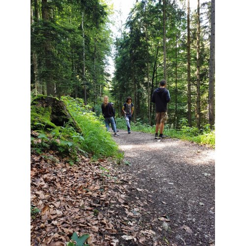 Bild 59 zum Block 3603