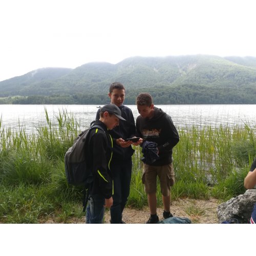 Bild 77 zum Block 3603