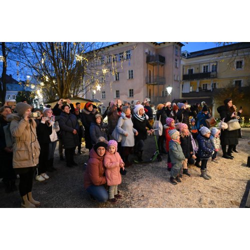Bild 7 zum Block 3784