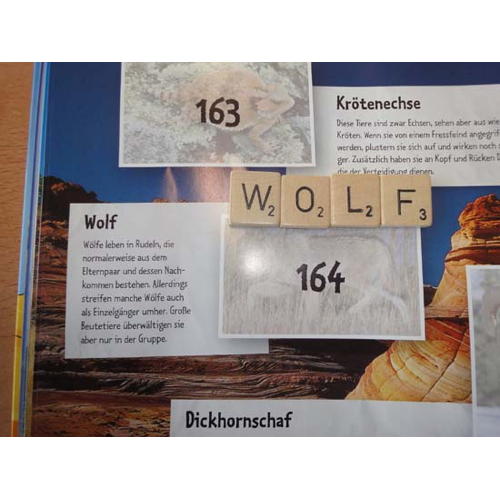 Bild 1 zum Block 2412