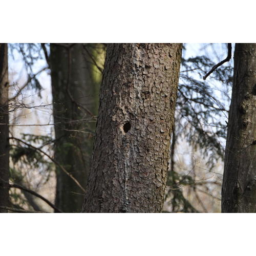 Bild 11 zum Block 2419