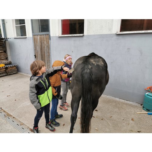 Bild 13 zum Block 5697