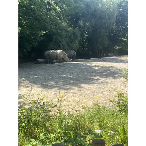 Bild 114 zum Block 6334