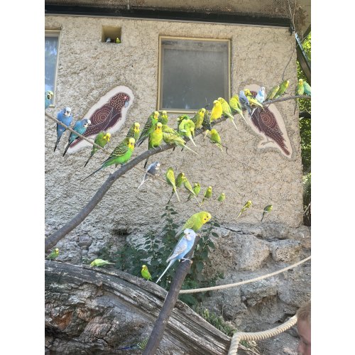 Bild 128 zum Block 6334