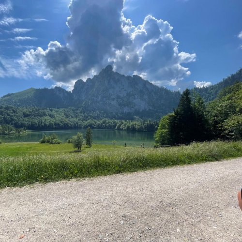 Bild zum Weblog Sommerpause
