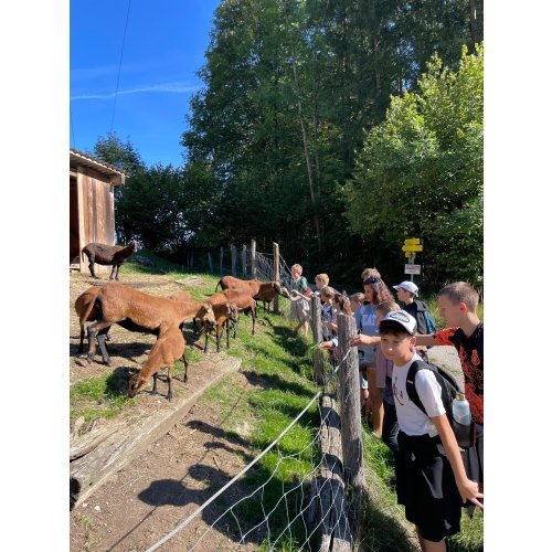 Bild 8 zum Block 6436