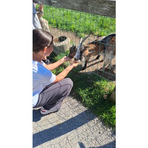 Bild 62 zum Block 6436