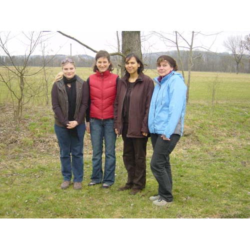 Bild 10 zum Block 2434