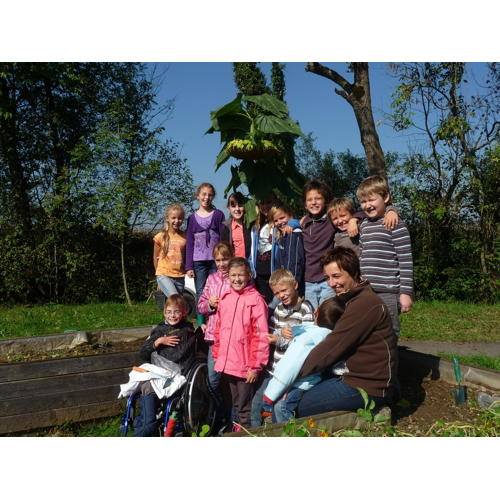 Bild 8 zum Block 2445