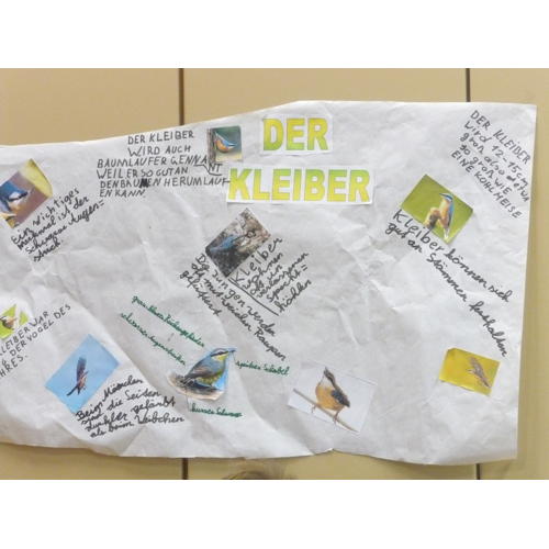 Bild 11 zum Block 2463
